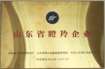 山東省瞪羚企業
